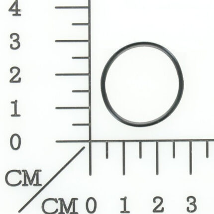 Anel O-ring  22x1.5 para Lixadeira de Parede Einhell Te-dw 18/225 Li-solo 425999101173