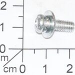 Parafuso M4x10mm para Moto Esmeril Angular Tc-bg 150 Einhell 441257001030