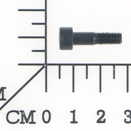 Parafuso M5x20 para Plaina Desengrossadeira 220v Tc-sp 204 Einhell 441995501014