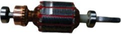 Induzido 127v para Lixadeira Roto e Orbital Elo 250 110/127v Wap Fw008975