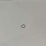 Arruela De Pressao Dentada Interna Para Furadeira Dwe1622-b2 Dewalt 1004686-78