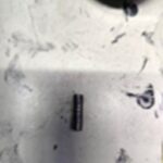 Cavilha/perno Para Chave De Impacto Dcf961b-b3 Dewalt N756784