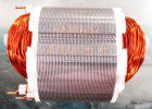 Conj.estator 127v Sdh710 Sc Para Furadeira Sdh710-br Stanley Na502262