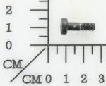 Parafuso Cabeca Chata Philips Rosca Parcial M4 para Serra Sabre Einhell Te-ap 750 e 432617001034